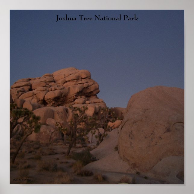 Poster du parc national Joshua Tree (Devant)
