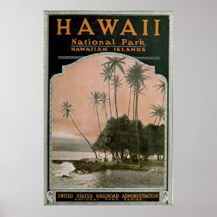 Poster du parc national vintage Hawaii (1919)