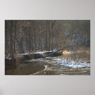 Poster du paysage aquatique du ruisseau Winter