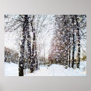 Poster du paysage de neige