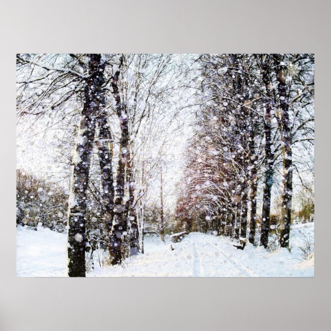Poster du paysage de neige (Devant)