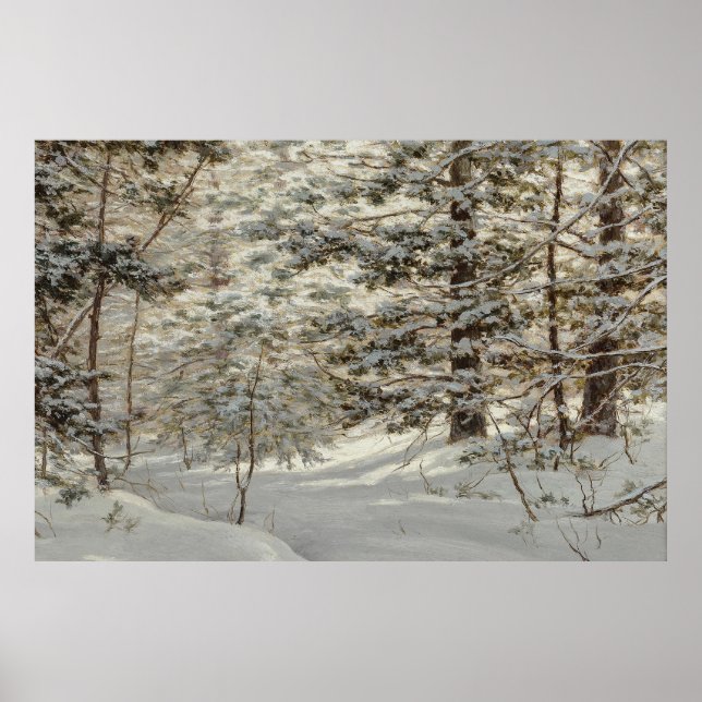 Poster du paysage neigeux (Devant)