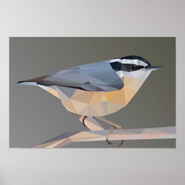 Poster du paysage nuthatch à poitrine rouge (Devant)
