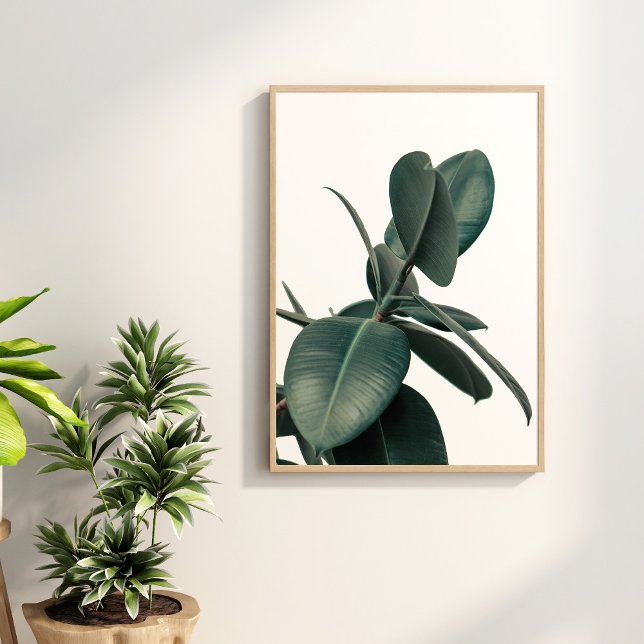 Poster du Plante vert tropical (Green Tropical Plant Poster on the wall surronded with green house plants.)