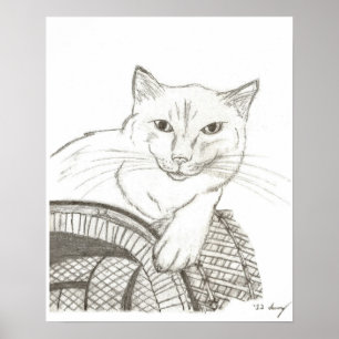 Poster du portrait de Cat Ragdoll