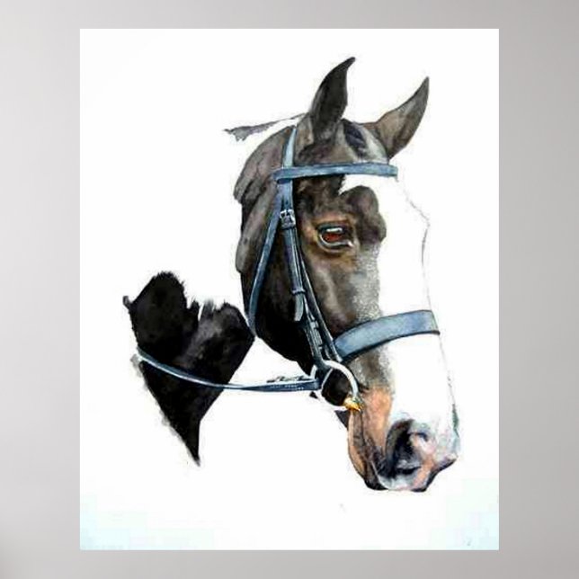 Poster du portrait du cheval de chasse lourd Impri (Devant)