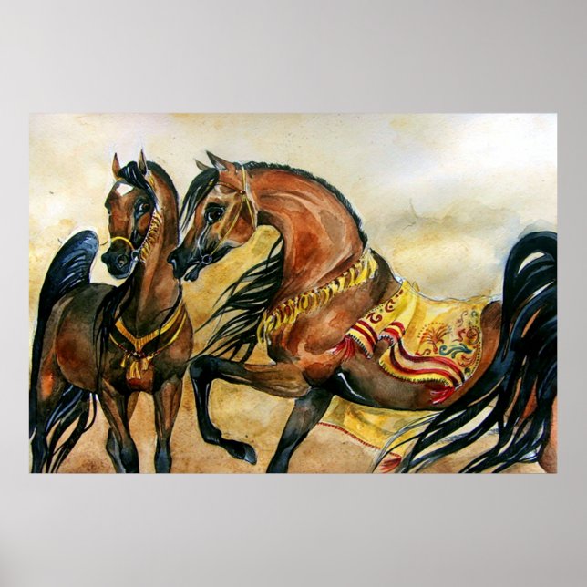 Poster du portrait du cheval de la baie Arabe Impr (Devant)