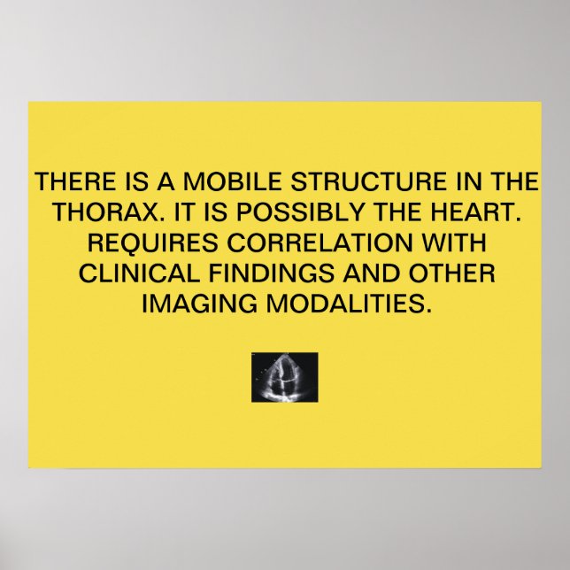 Poster du rapport Echo Cardiac (Devant)