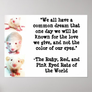 Poster du rêve commun