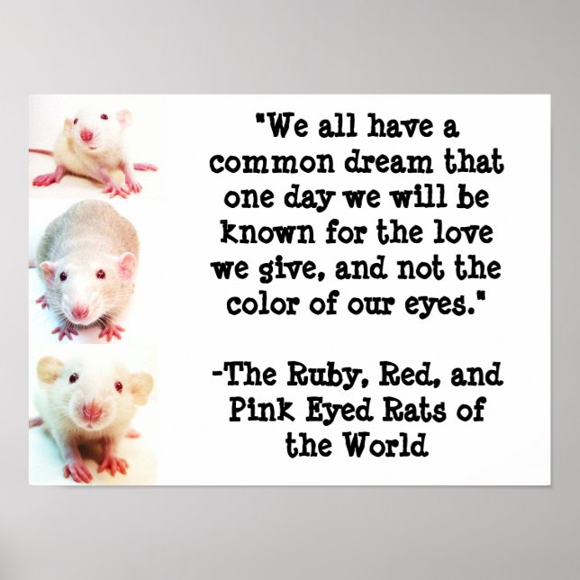 Poster du rêve commun (Devant)