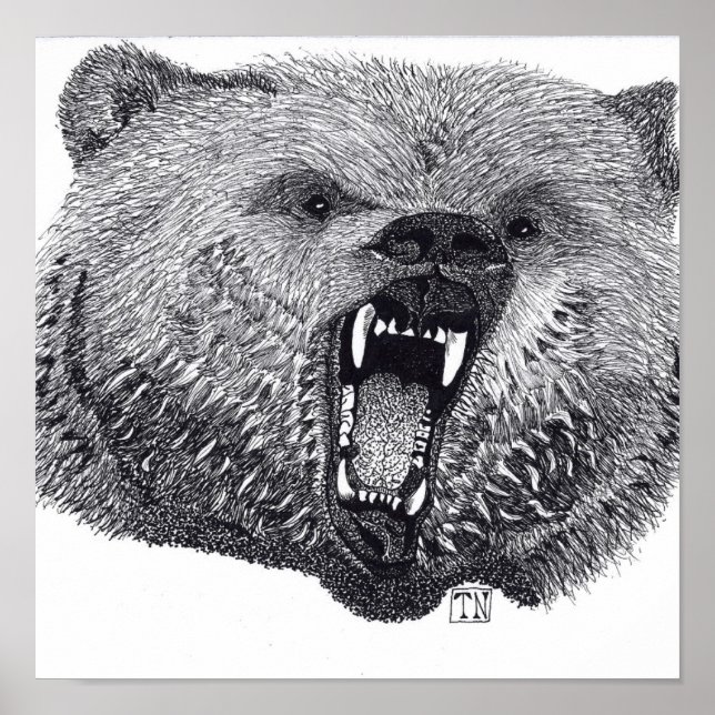 Poster du Roi des Sauvages, grizzli. (Devant)