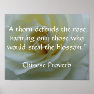 Poster du Rose du proverbe chinois