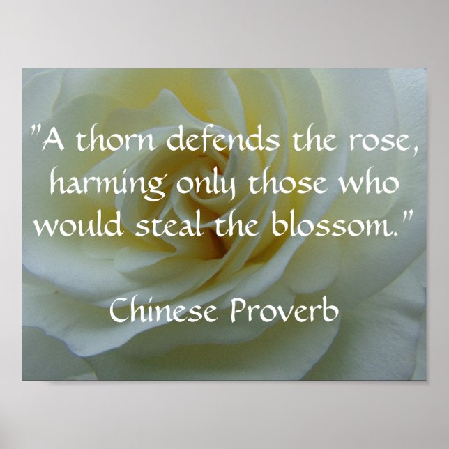 Poster du Rose du proverbe chinois (Devant)