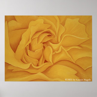 Poster du rose n° 15