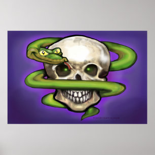 Poster du serpent n crâne