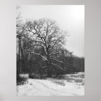 Poster du Solstice d'hiver