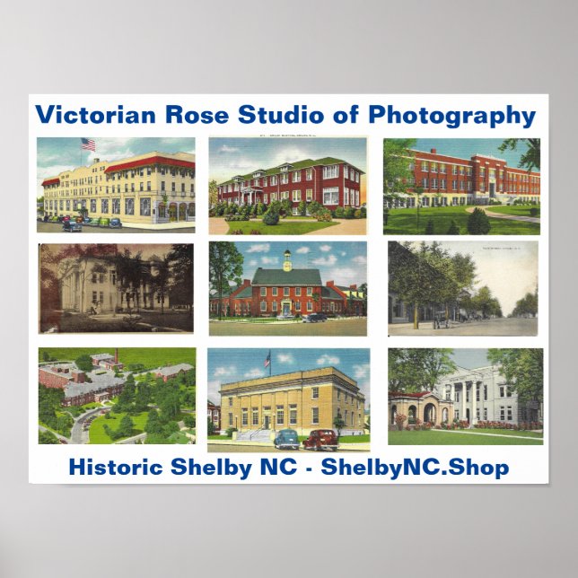 Poster du Studio Rose victorien de photographie (Devant)