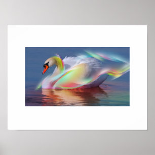 Poster du Swan