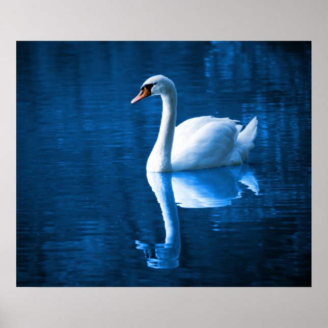 Poster du Swan (Devant)