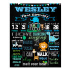 Poster du tableau de bord d'un animal de 16 x 20 p