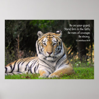 Poster du tigre