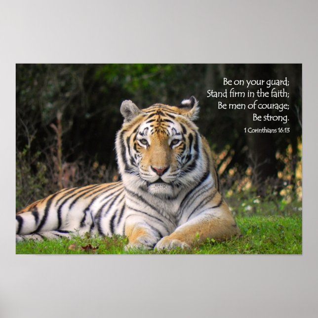 Poster du tigre (Devant)