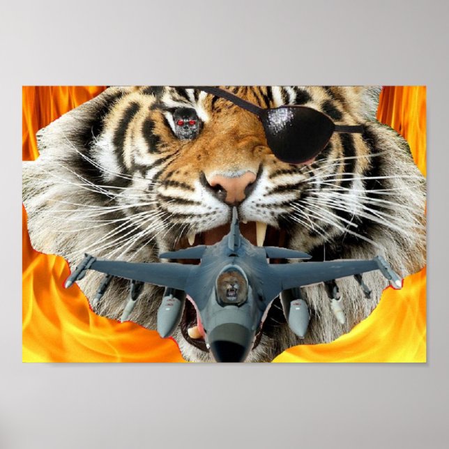 Poster du Tigre fou (Devant)