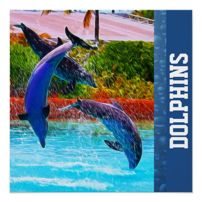 Poster du trio dauphin (Devant)