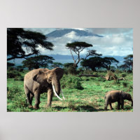 Poster du troupeau d'éléphants