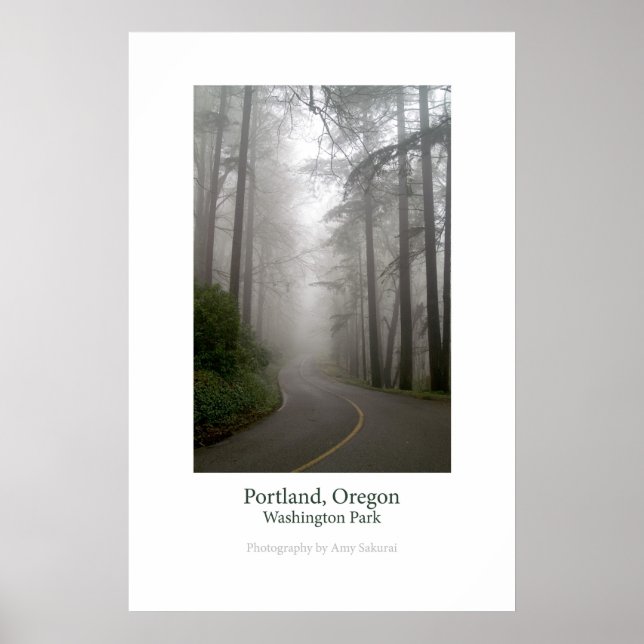 Poster du Washington Park (Devant)