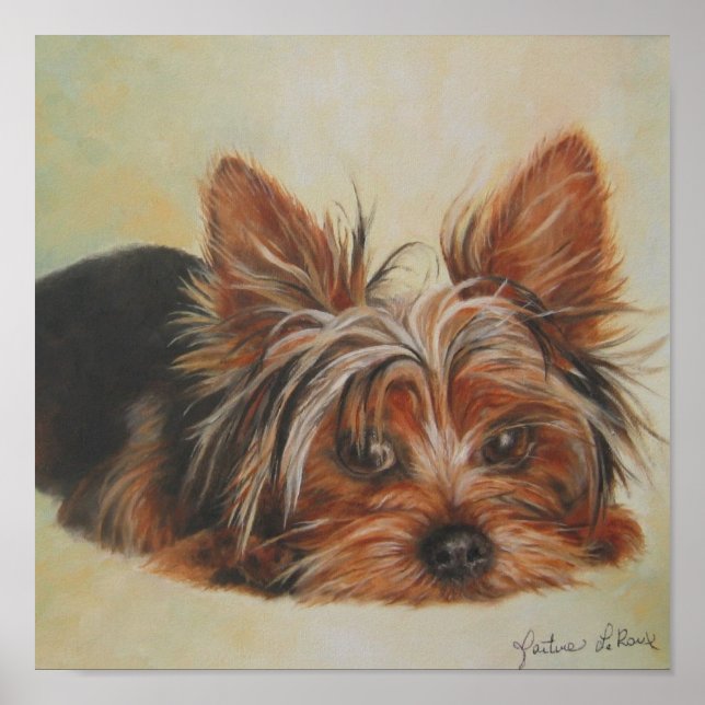 Poster du Yorkshire Terrier (Devant)