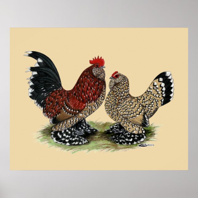 Poster D'Uccle Bantams : Mille Fleur (Devant)