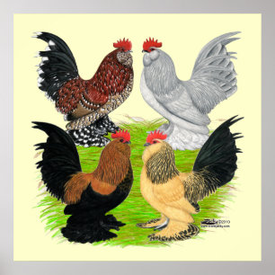Poster D'Uccles Quatre Coq