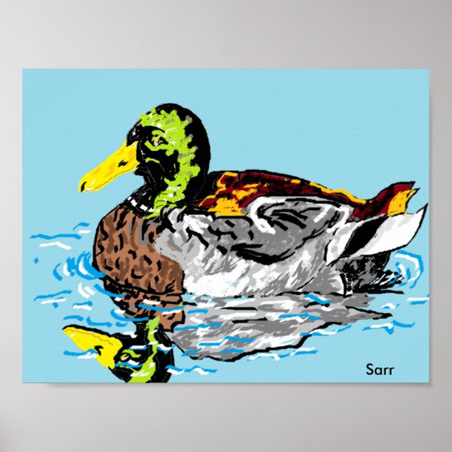 Poster/Duck in a Pond Poster (Front)