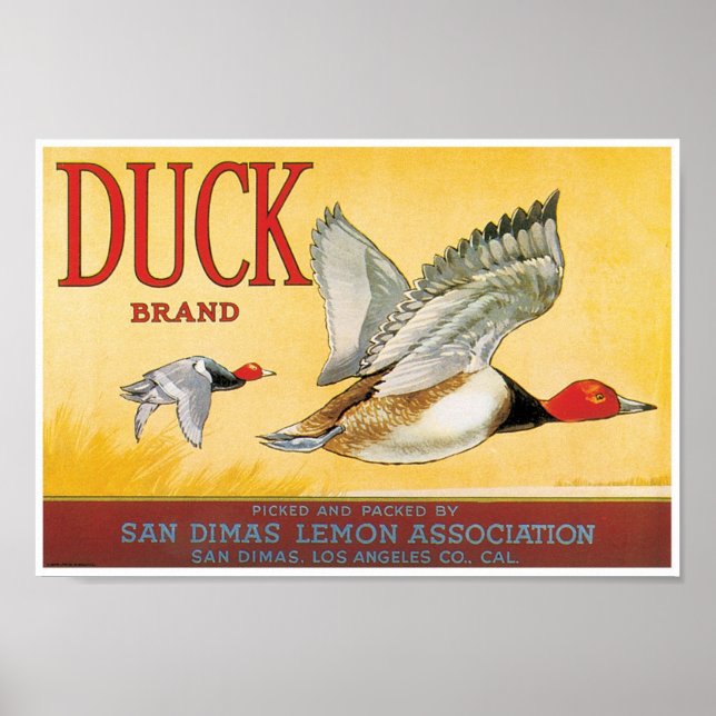Poster Duck Lemon San Dimas Los Angeles County Californie (Devant)