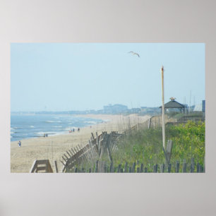 Poster Duck North Carolina Coastline