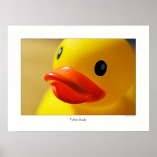 Poster Ducky jaune