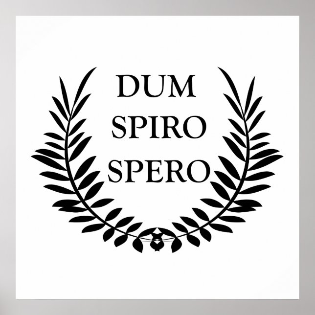 Poster Dum spiro spero (Devant)