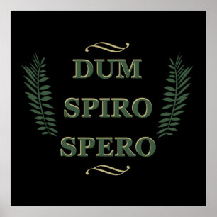 Poster dum spiro spero