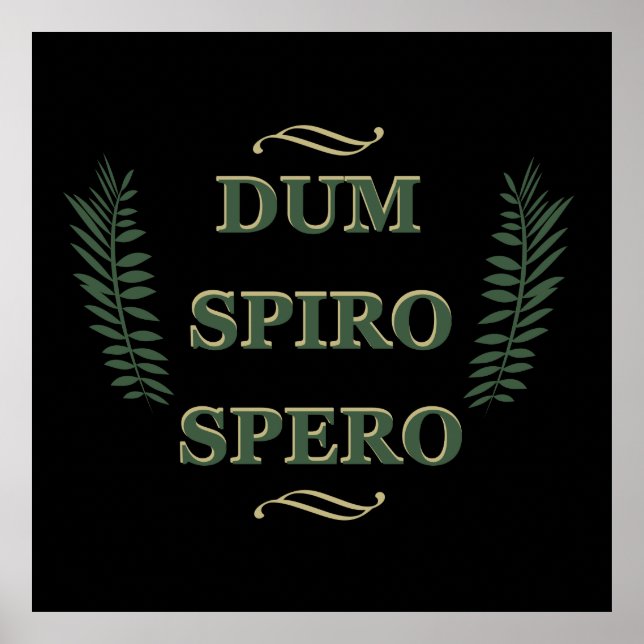 Poster dum spiro spero (Devant)