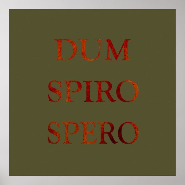 Poster dum spiro spero (Devant)