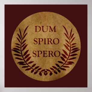 Poster dum spiro spero, phrase latine