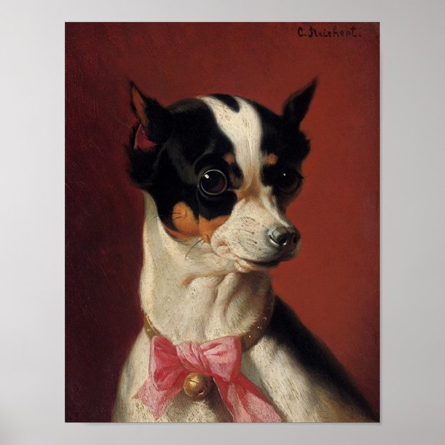 Poster d'un Pincher de Jouet (Devant)