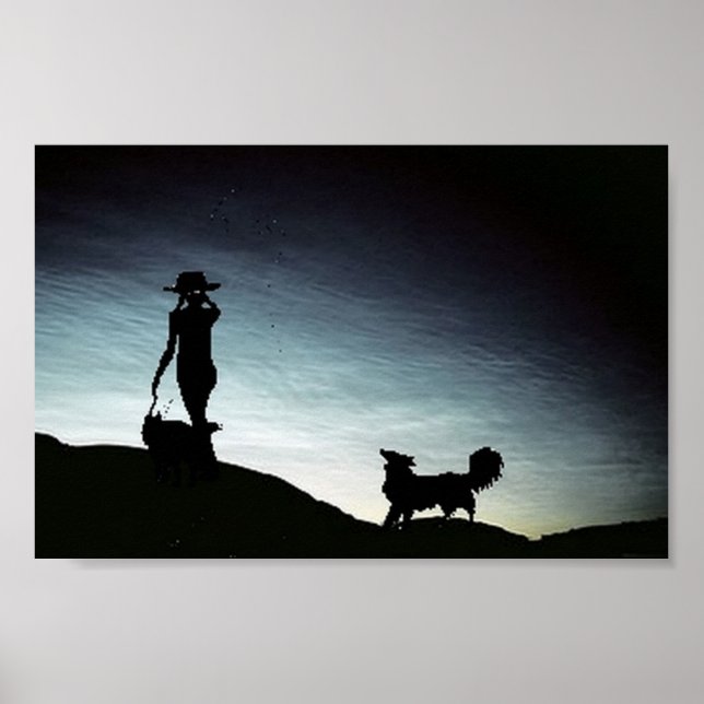 Poster d'un troupeau tôt le matin...Border Collie  (Devant)
