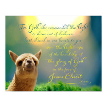 Poster d'une citation de la Bible Turquoise d'Alpa