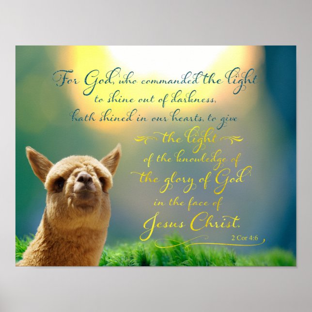 Poster d'une citation de la Bible Turquoise d'Alpa (Devant)