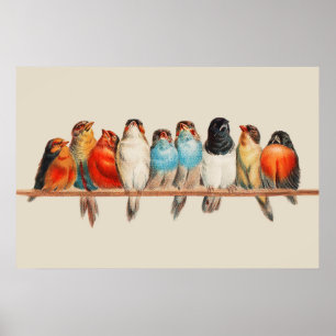 Poster d'une perche d'oiseaux