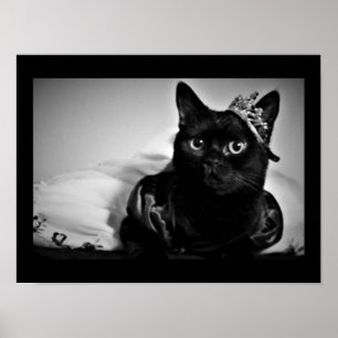 Poster d'une petite princesse