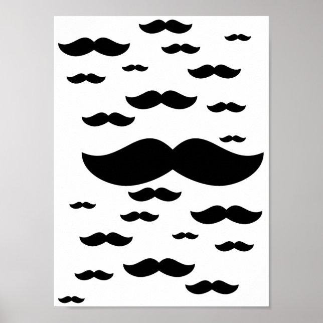 Poster d'une volée de moustaches (Devant)