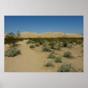 Poster Dunes de Kelso au Mojave National Park